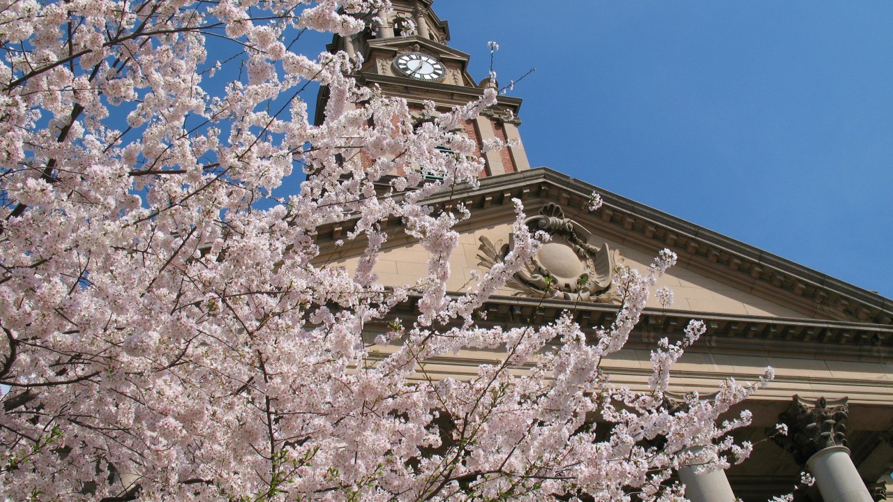 Blooming cherry tree in front of All Souls Unitarian Church (1924, Coolidge & Shattuck) at 16th and Harvard Streets NW. Photo by Mr.TinDC (Flickr) CC BY-ND 2.0