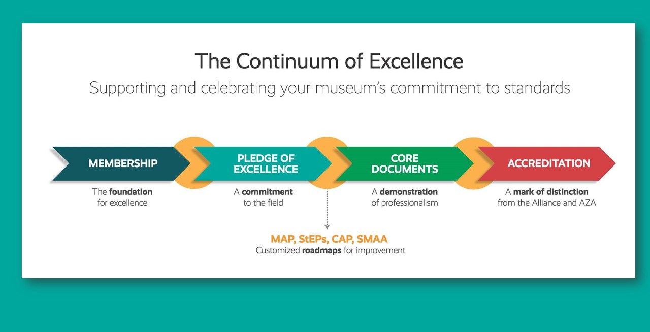 The Continuum of Excellence graphic starting with Membership, Pledge of Excellenced, Core Documents, Accreditation, and Museum Assessment Program.