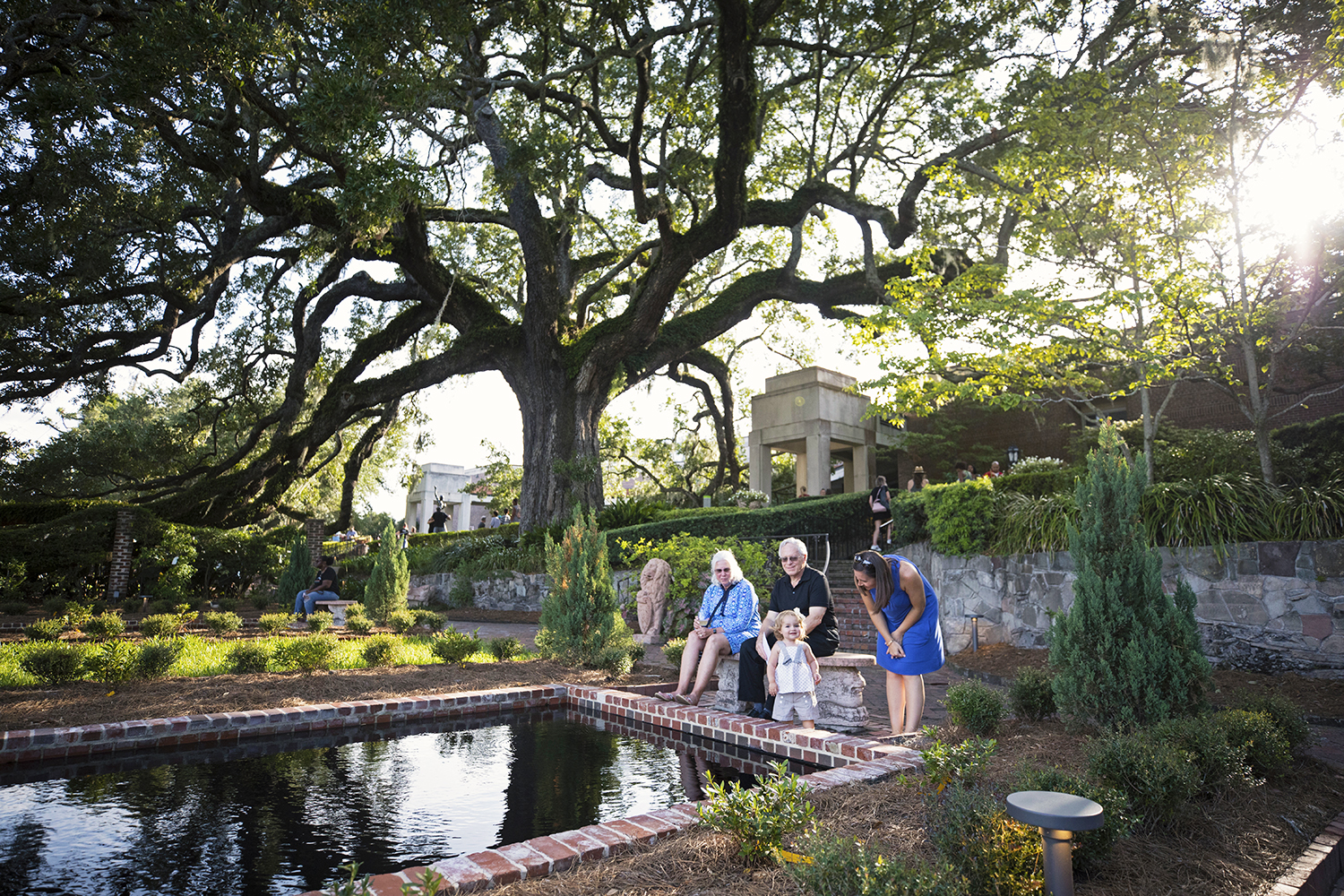 Let It Bloom Reconstructing A Hurricane Stricken Historic Garden