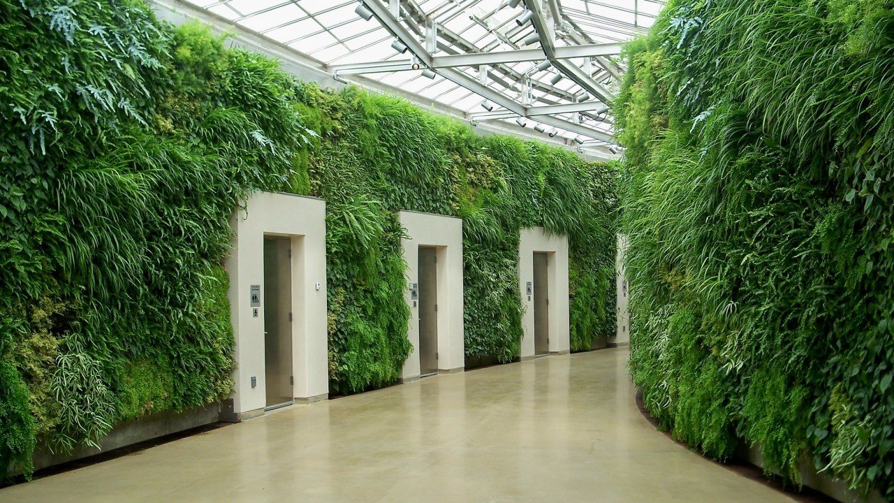 A row of bathroom doors surrounded by a living plant wall