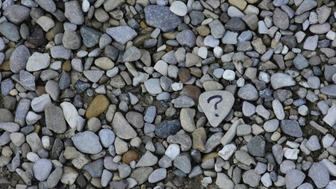 A large group of pebbles with one that has a question mark drawn on.